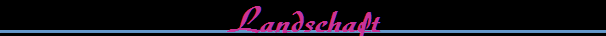 Landschaft